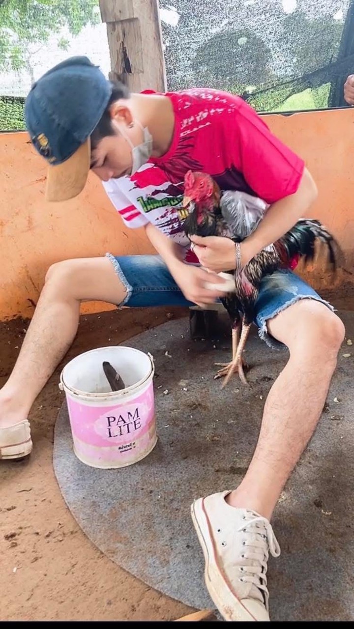 ซุ้ม เป่งเป่งจ๋า