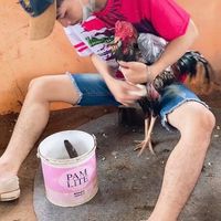ซุ้ม เป่งเป่งจ๋า