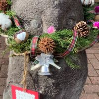 森の里に学校を残して❗️
