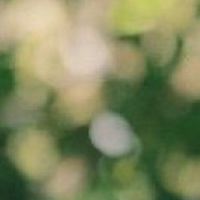 忍たまなりきりトーク