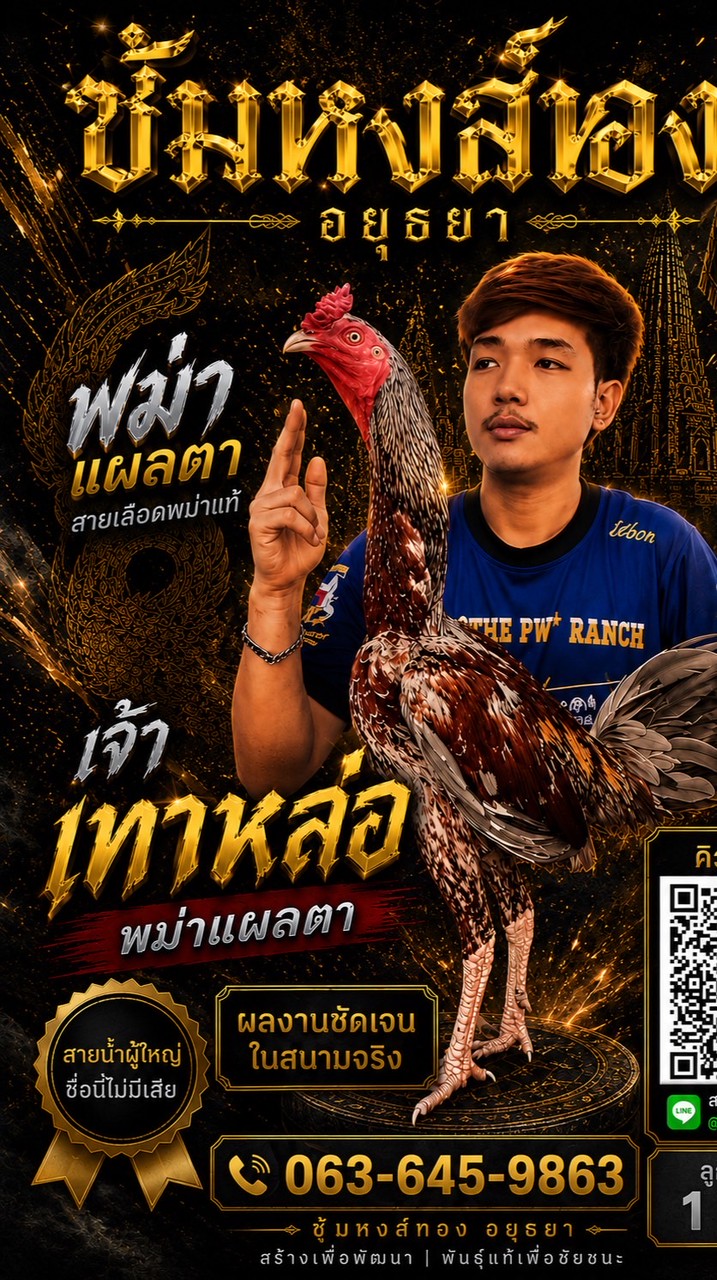 หงส์ทองอยุธยา พม่าแผลตา