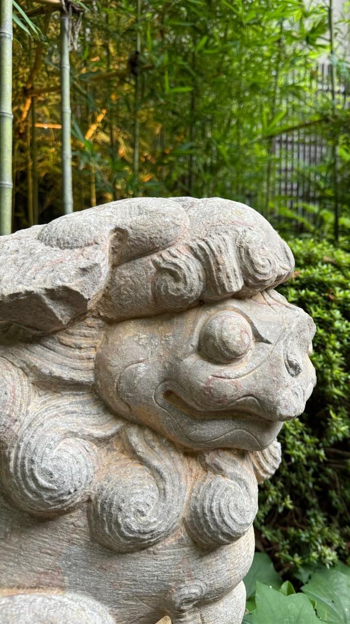 格魯特的牛排館-二館-不推股票只推貼圖