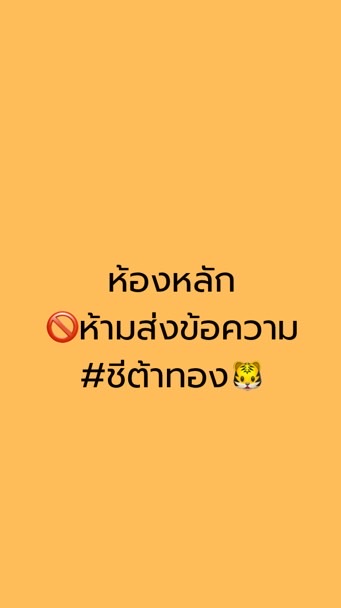 ชีต้าทอง🐯 (ห้องหลัก)