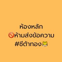 ชีต้าทอง🐯 (ห้องหลัก)