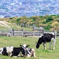 福岡市南区盛り上げ隊