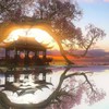 逆水寒-花舞閣