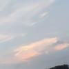學生聊天/處關係/找男女友/交流