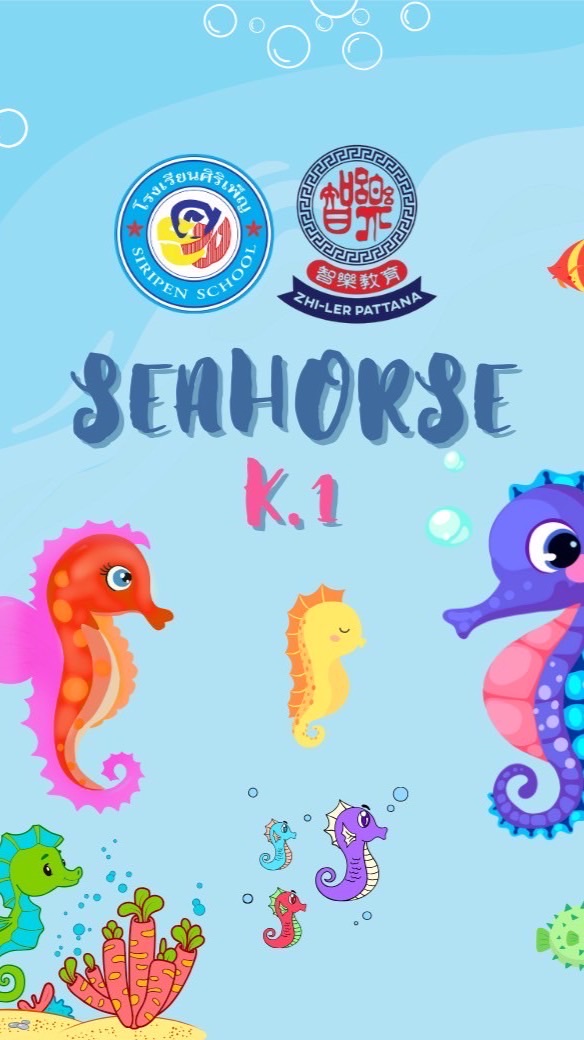 ห้องอนุบาล 1/1 Sea horse