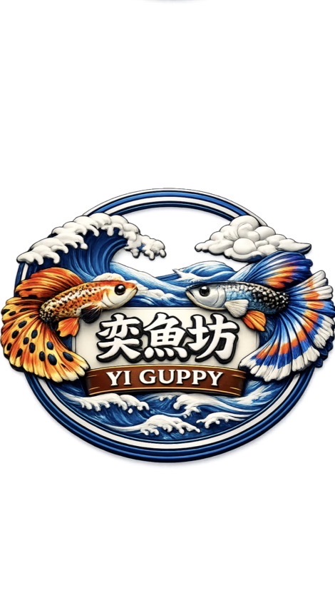 孔雀魚～奕魚坊