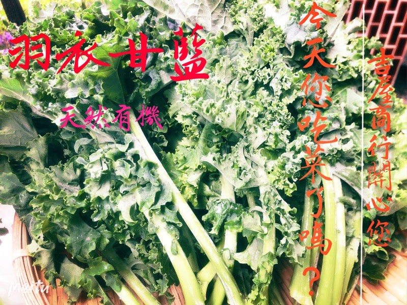 ▼商品介紹 ★［超級蔬菜］羽衣甘藍含有多種有益身體的物質，而且多種料理方式可供選擇 ★羽衣甘藍濃厚「芥蘭菜香」散發獨特氣味 ★［葉黃素中的霸主］富含葉黃素、β-胡蘿蔔素、含硫物質的羽衣甘藍（Kale）