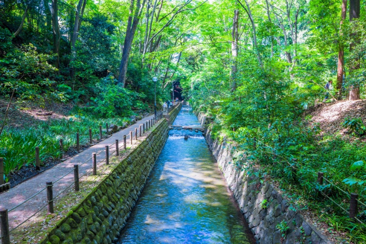 等等力溪谷公園
