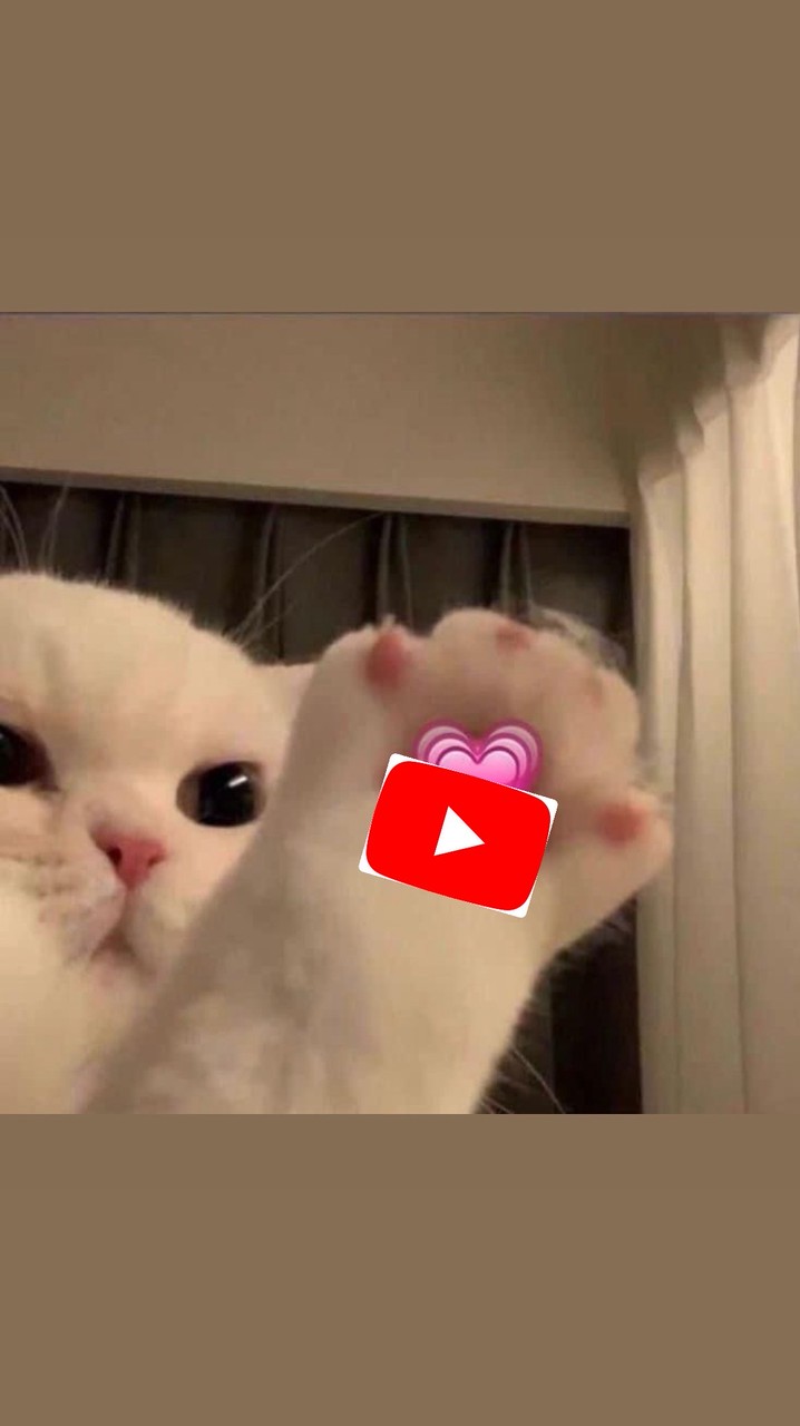 ✨บ้านยูตู้ปปพรีเมี่ยม✨