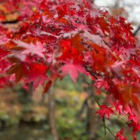 【紹介制】新潟の20代