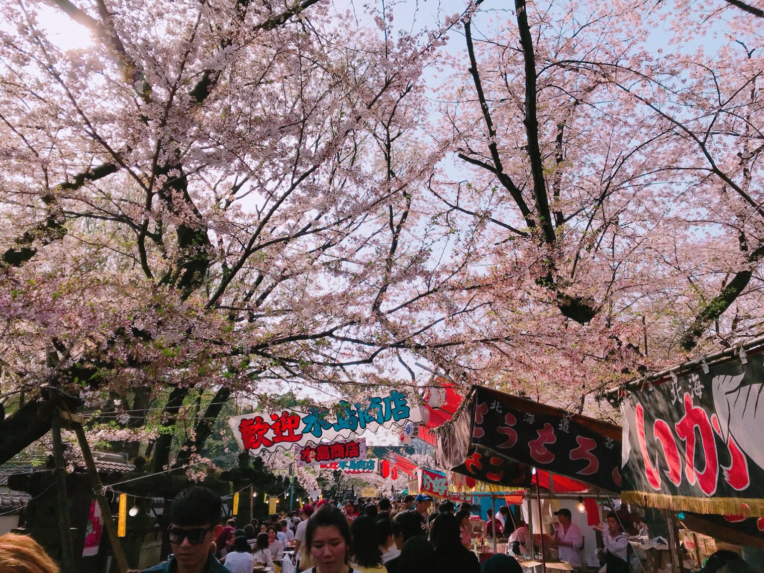 校園、墓園才是東京人賞櫻秘境？上野公園周遭三大櫻花祭熱點