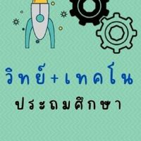 สมรรถนะ SMT (วิทย์+เทคโน ประถม)