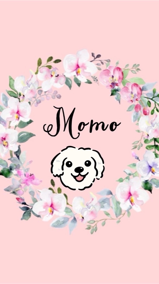 Momo韓國代購🇰🇷
