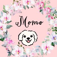 Momo韓國代購🇰🇷