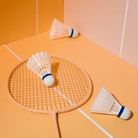 羽你Yo約🏸🏸