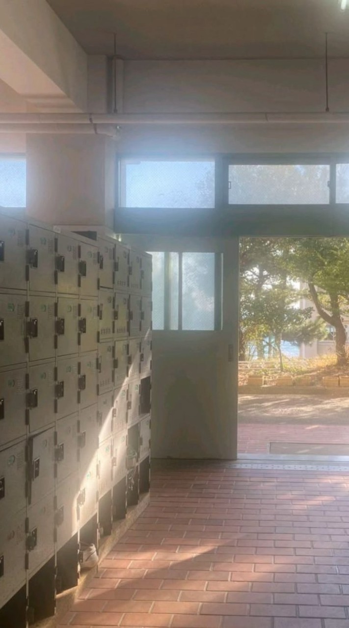 "Sakura school"