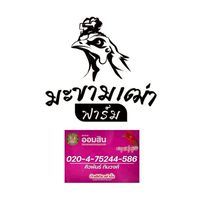 มะขามเฒ่าฟาร์ม กลุ่มที่2