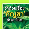 น้ำมันกัญชารักษาโรค