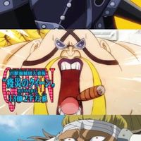 レイリーの仲間