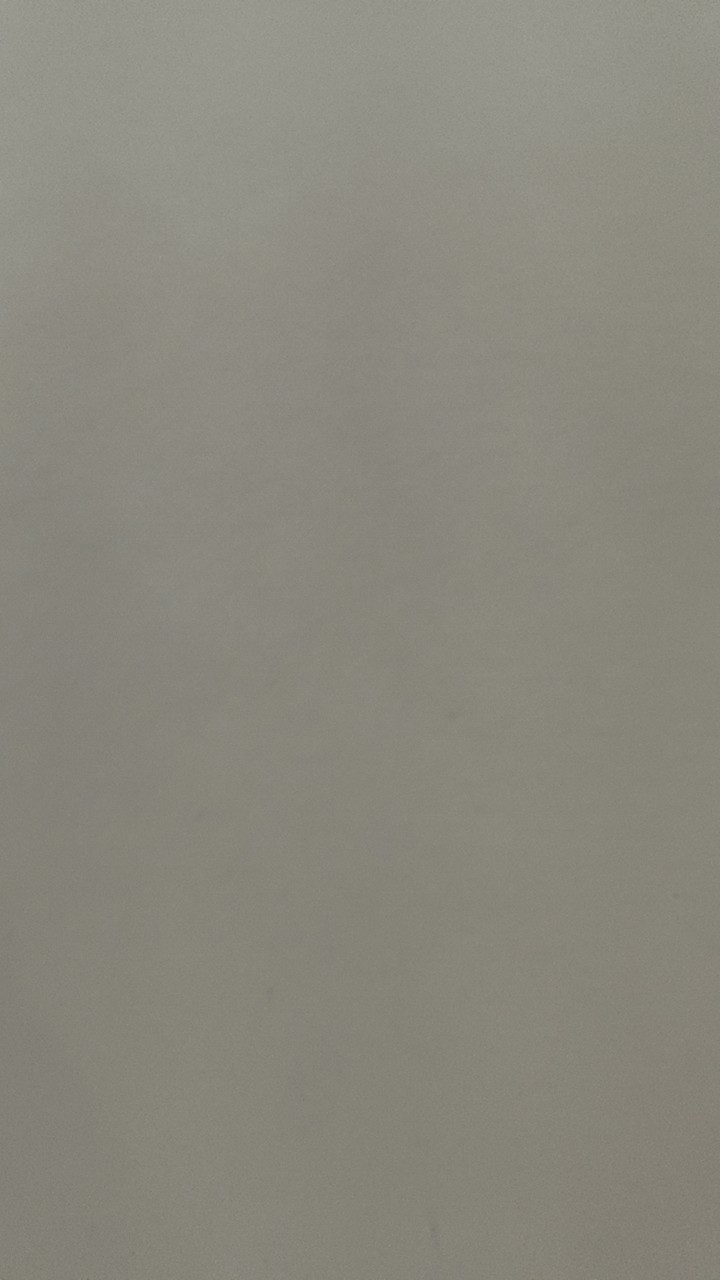文章
