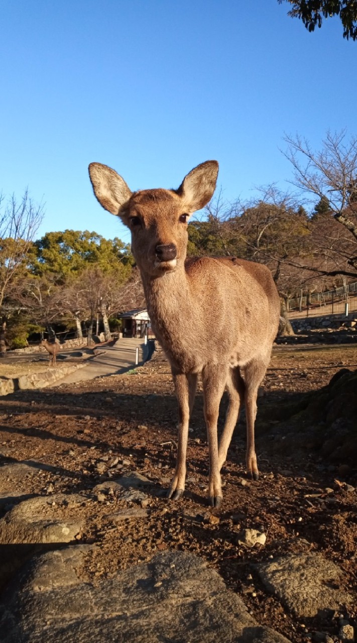 大阪奈良飲み会のオープンチャット