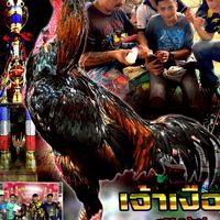 อรรถกร ฟาร์ม บุรีรัมย์