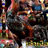 อรรถกร ฟาร์ม บุรีรัมย์