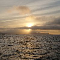 🐟【徳島】オフショア専用・釣り