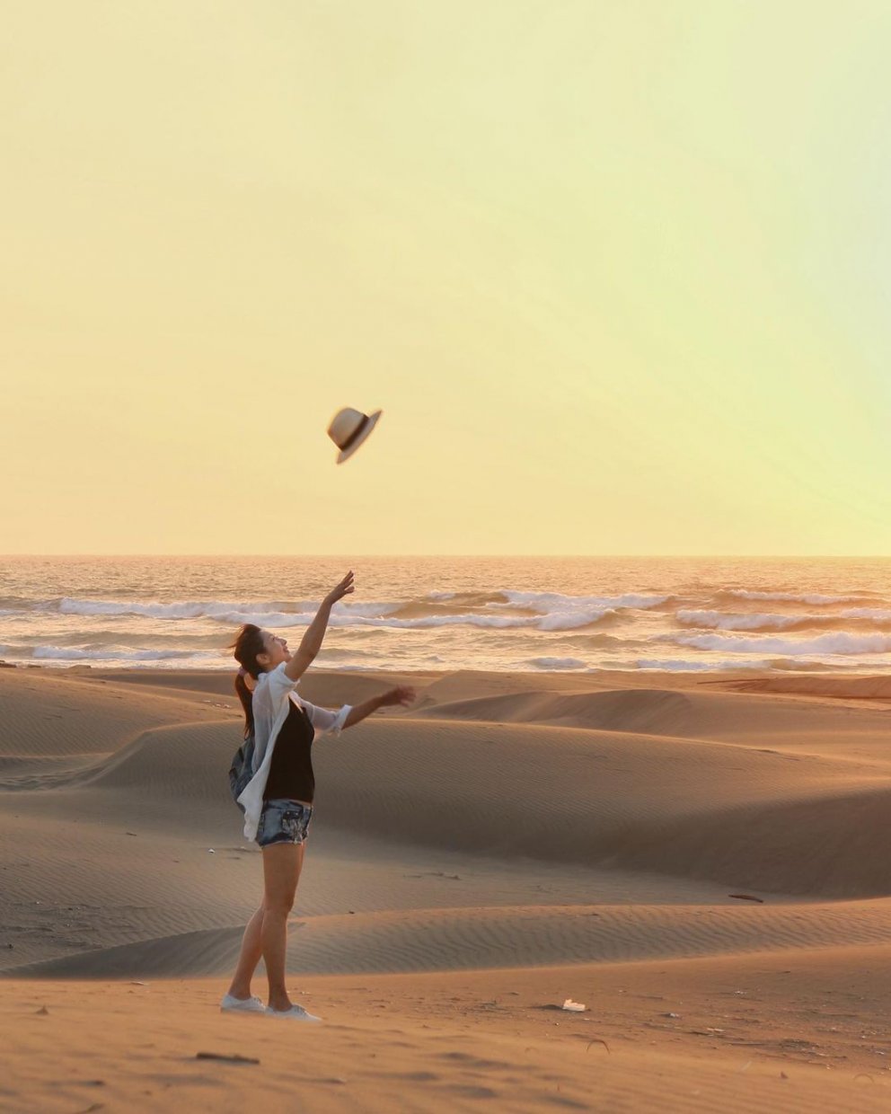 頂頭額沙丘 @katherine Ching0515