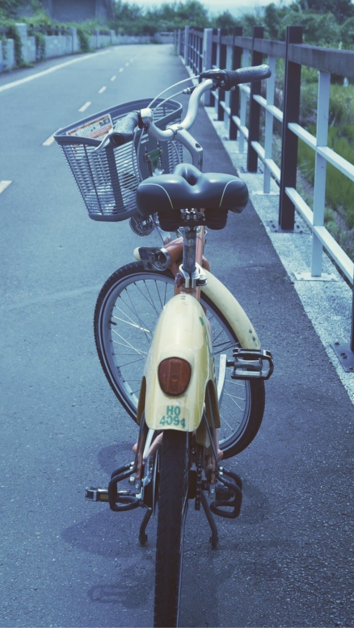 北部自行車交流（路線、約騎）