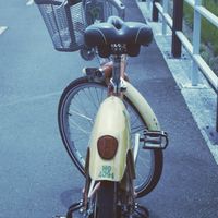 北部自行車交流（路線、約騎）