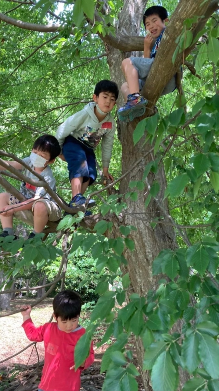 🚩のびぞらプレイパーク子供👦👶