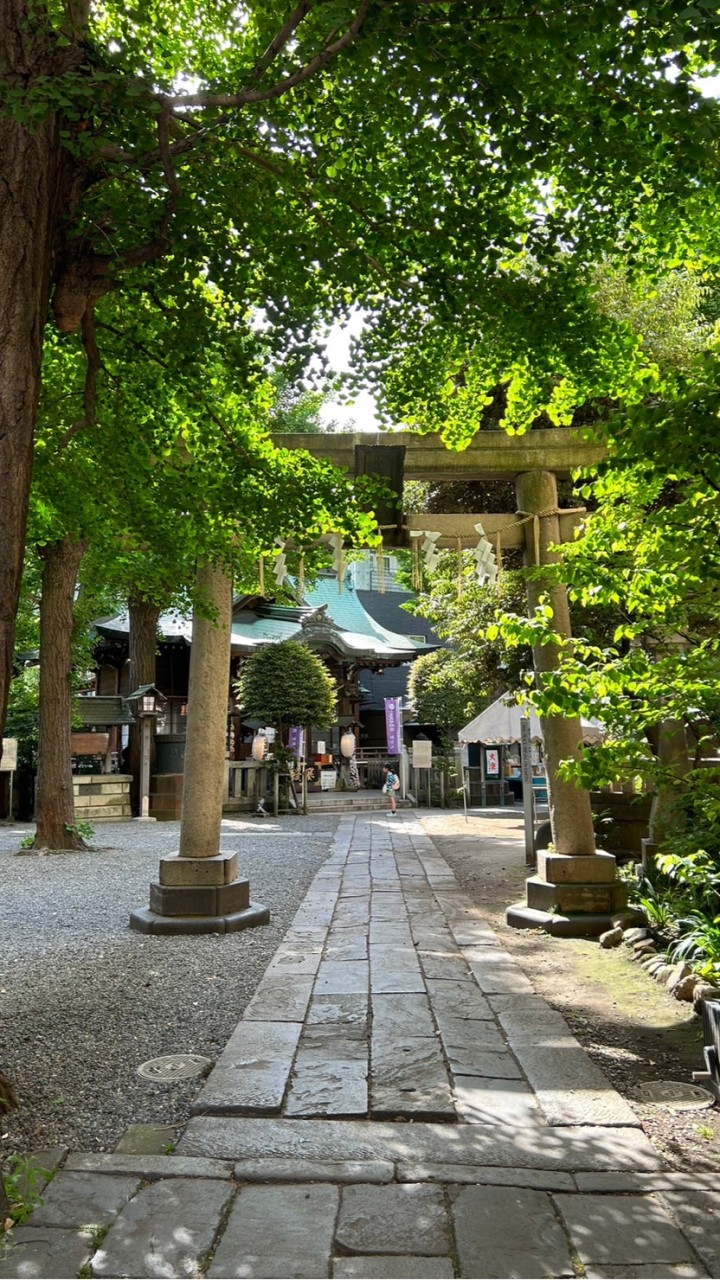 小野照崎⛩️夢開き 総合