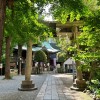 小野照崎⛩️夢開き 総合