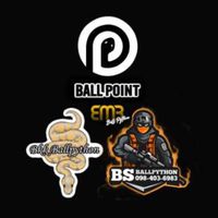 BMB Ballpython
