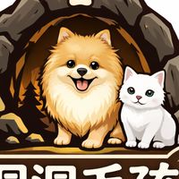 洞洞毛孩寵物美容工作室