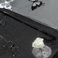 ༘🤍➳ 茶 湘 棠 甜 ࣪ ִֶָ☾.🪄