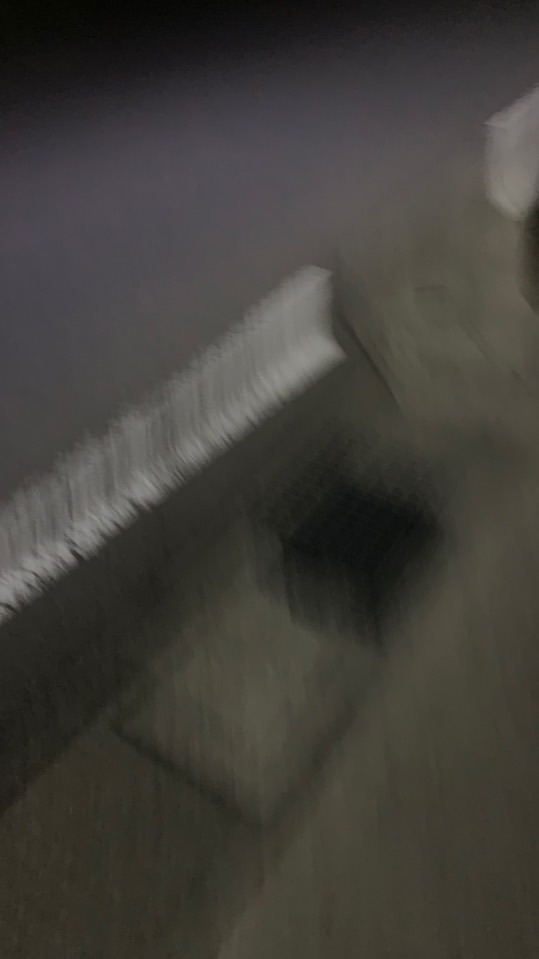 歌練