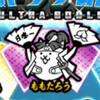 にゃんこオプ（仮）