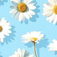 🌼🌈スタンプdeおもろ会話しよっ❣️40代からお気軽に🍎