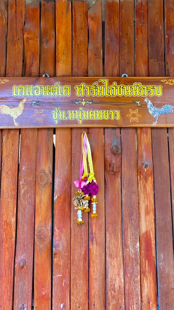 เคแอนด์เค ฟาร์มไก่ชนนักรบ