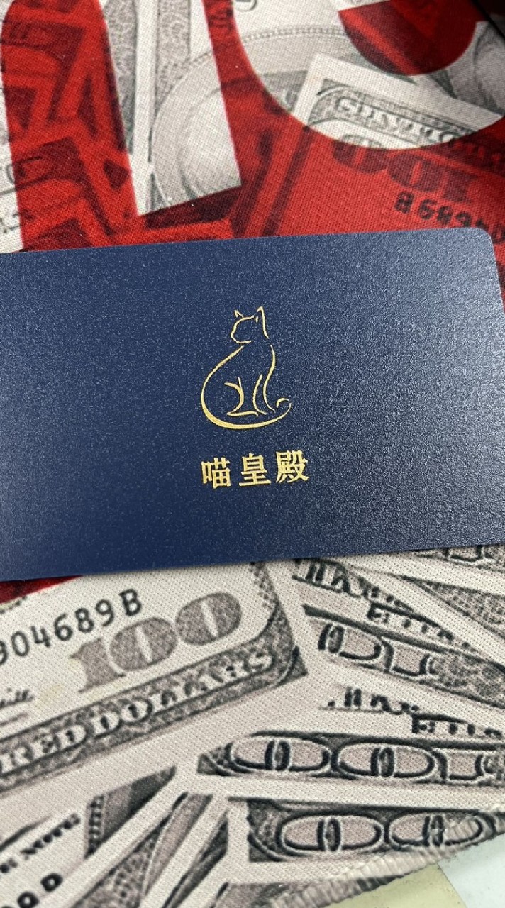 布偶曼曼英短寶寶喵合