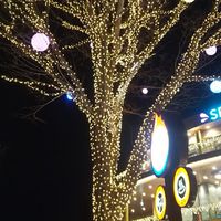 大家です。退室が汚い。