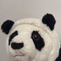 私藏日和選物