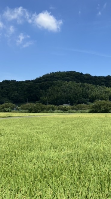 みんなで雑談しよ！！