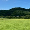 みんなで雑談しよ！！