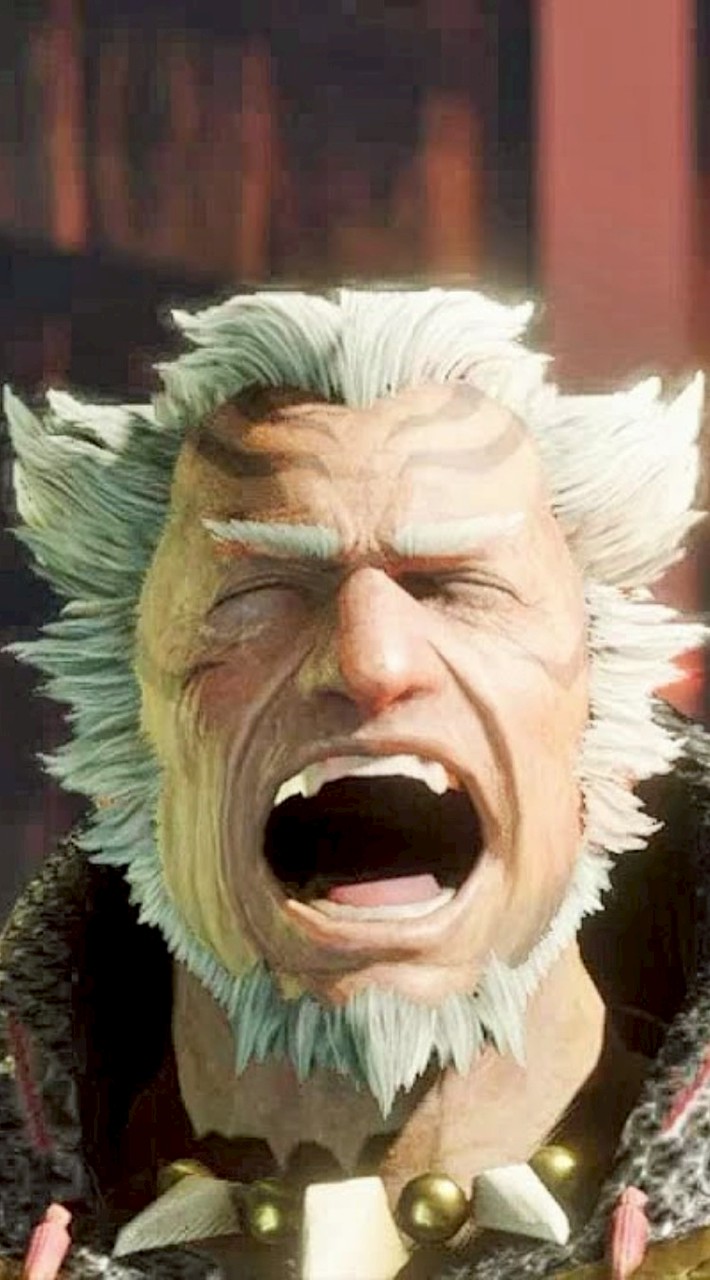 モンスターハンターライズ・サンブレイク／Switch版／助け合おうの界